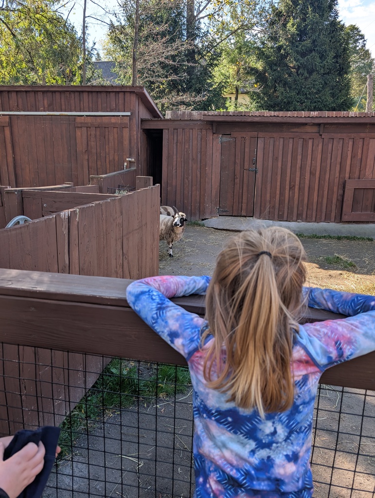 Third Grade Utica Zoo Trip