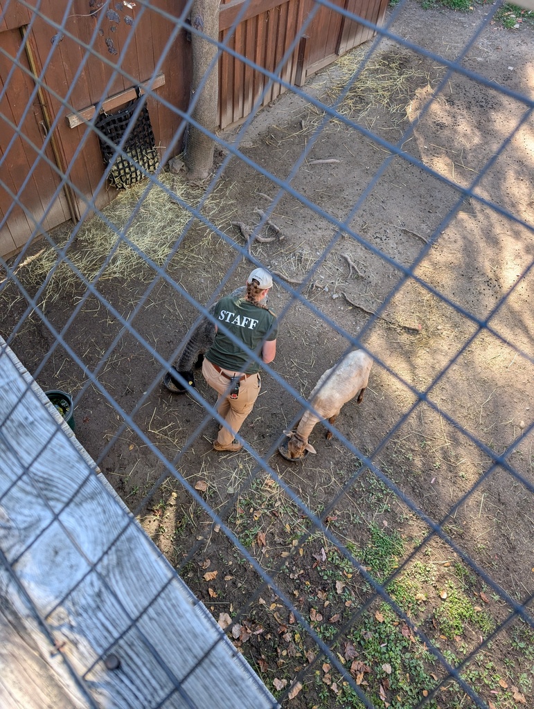 Third Grade Utica Zoo Trip