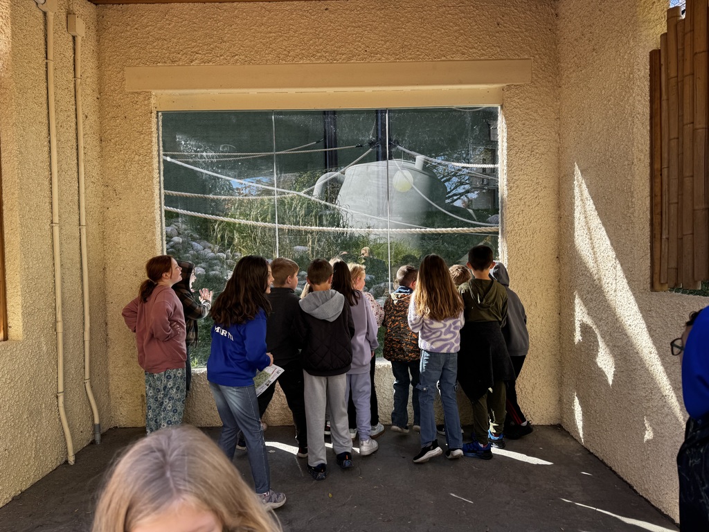 Third Grade Utica Zoo Trip