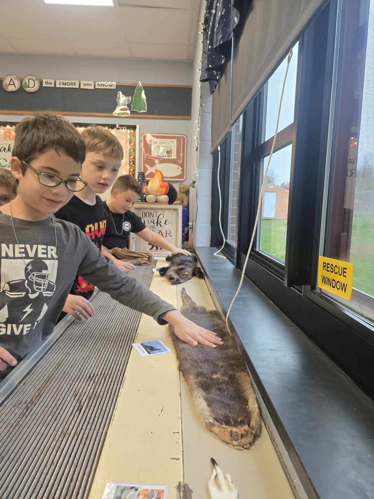 Adk Experience 3rd Grade Visit - Animal Adaptations