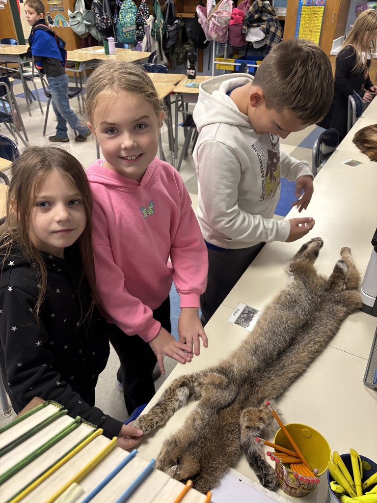 Adk Experience 3rd Grade Visit - Animal Adaptations