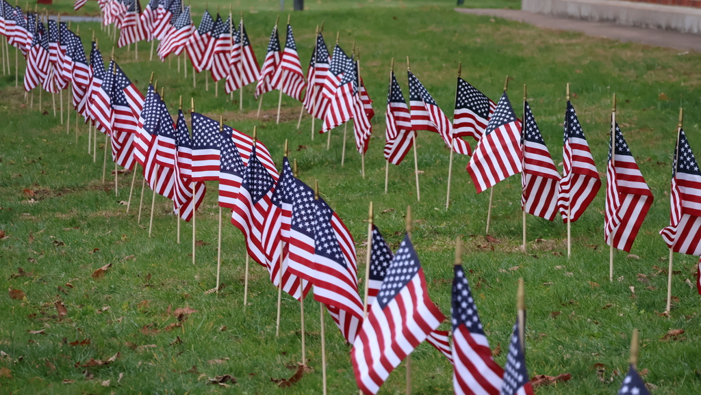 CMS Field of Flags