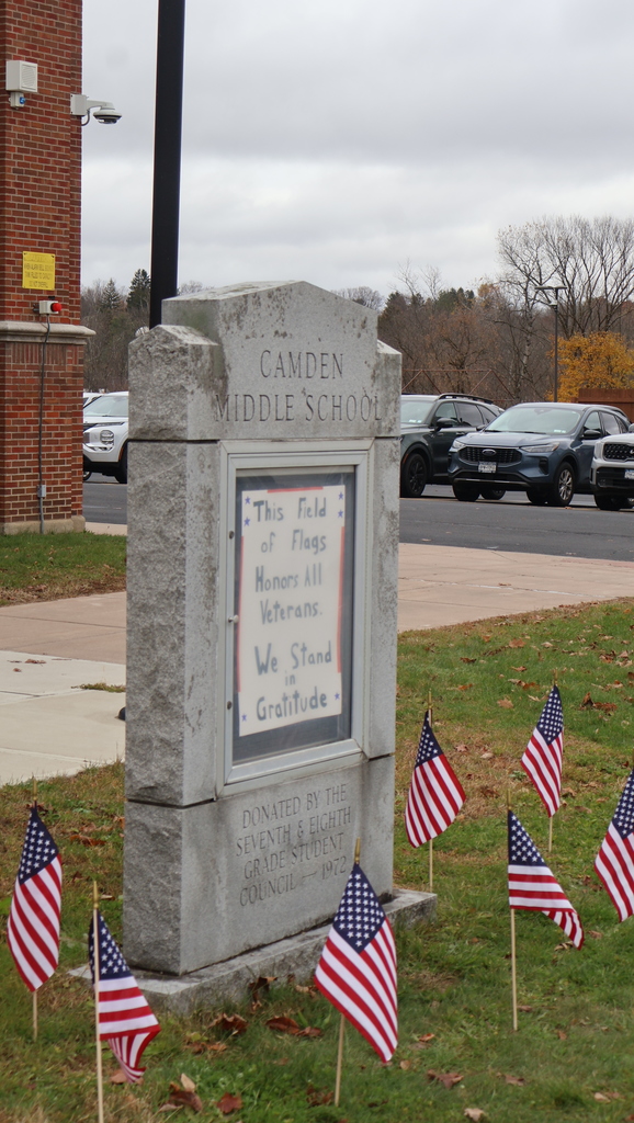 CMS Field of Flags