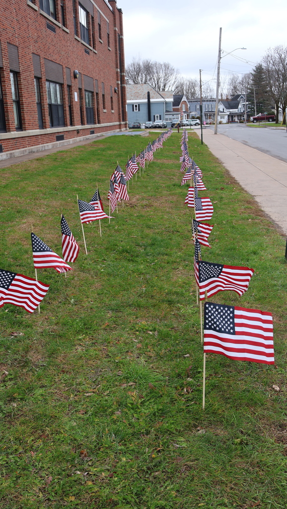 CMS Field of Flags
