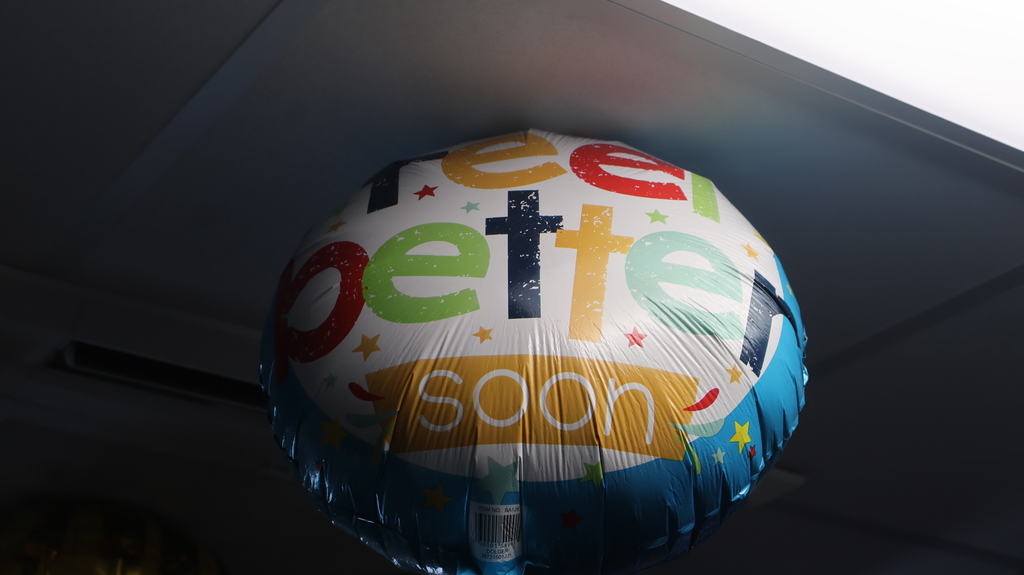 Mr. Fiorini Balloons