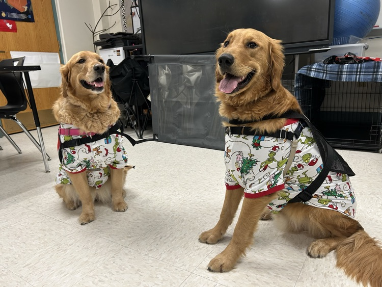 Therapy Dog Pajama Day