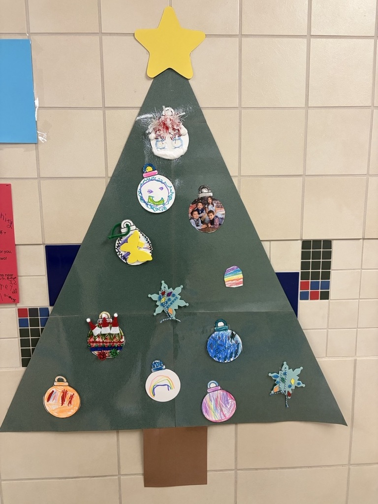 Riegler's Class Ornament Project
