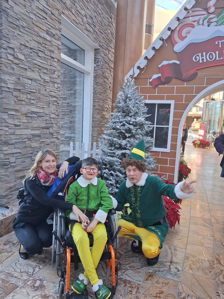 Gingerbread Village Unit