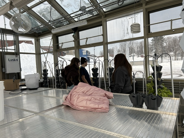 Greenhouse Management