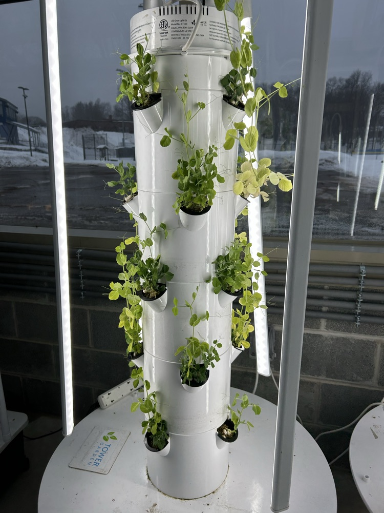 Greenhouse Management