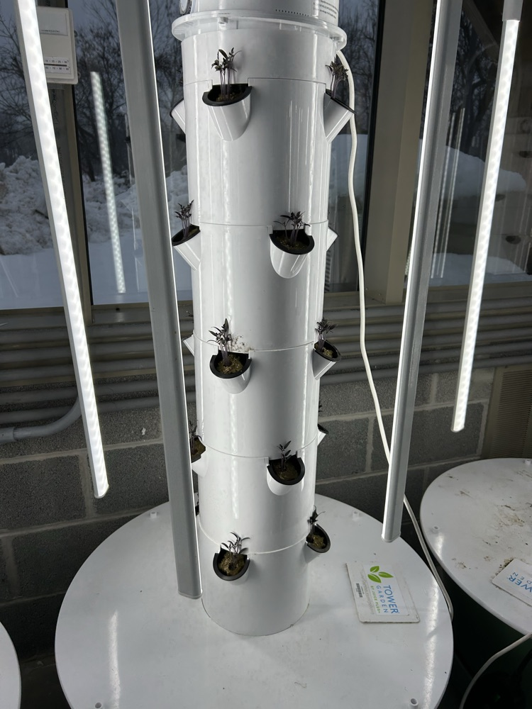 Greenhouse Management