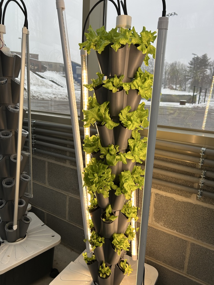 Greenhouse Management