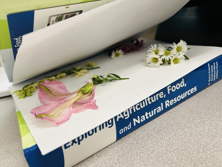 Flower Pressing at CMS