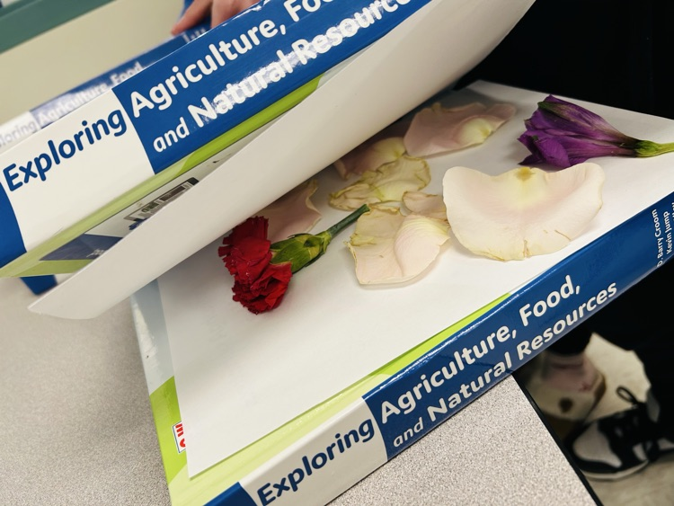 Flower Pressing at CMS