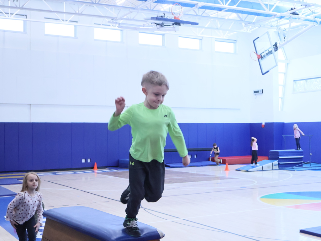 McVille PE - Gymnastics