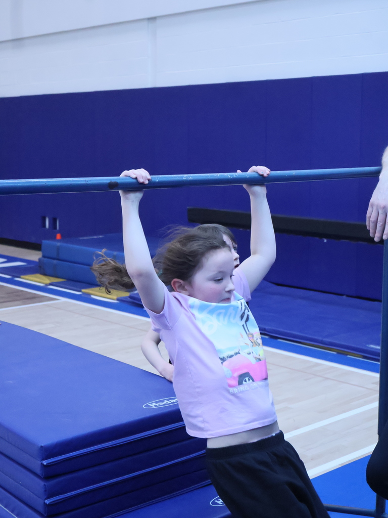 McVille PE - Gymnastics