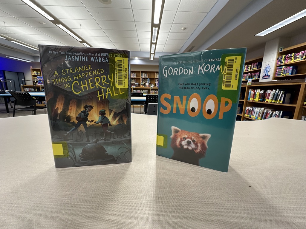 New mystery book selection