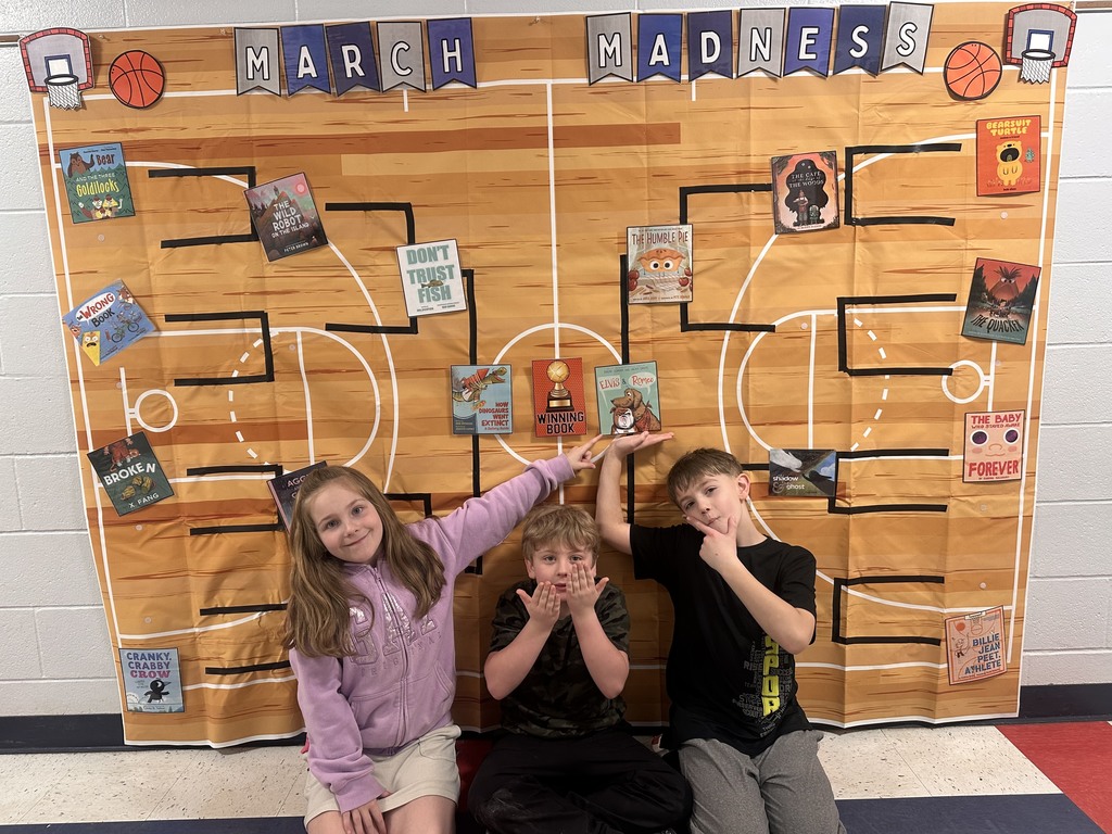 Picture Book Madness