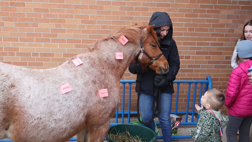 Student Petting A Horse  at 2026 CES Discovery Expo