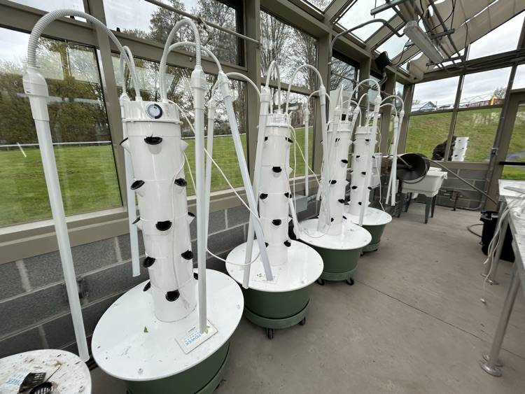 Clean Tower Gardens