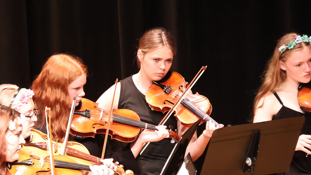 Violinists
