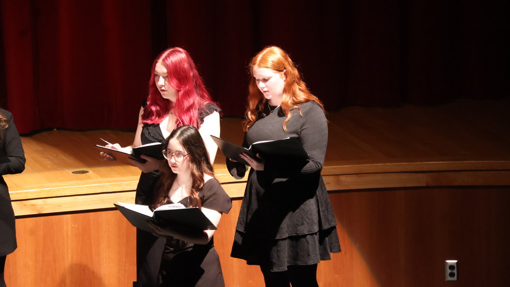 the CHS Acouschicks perform