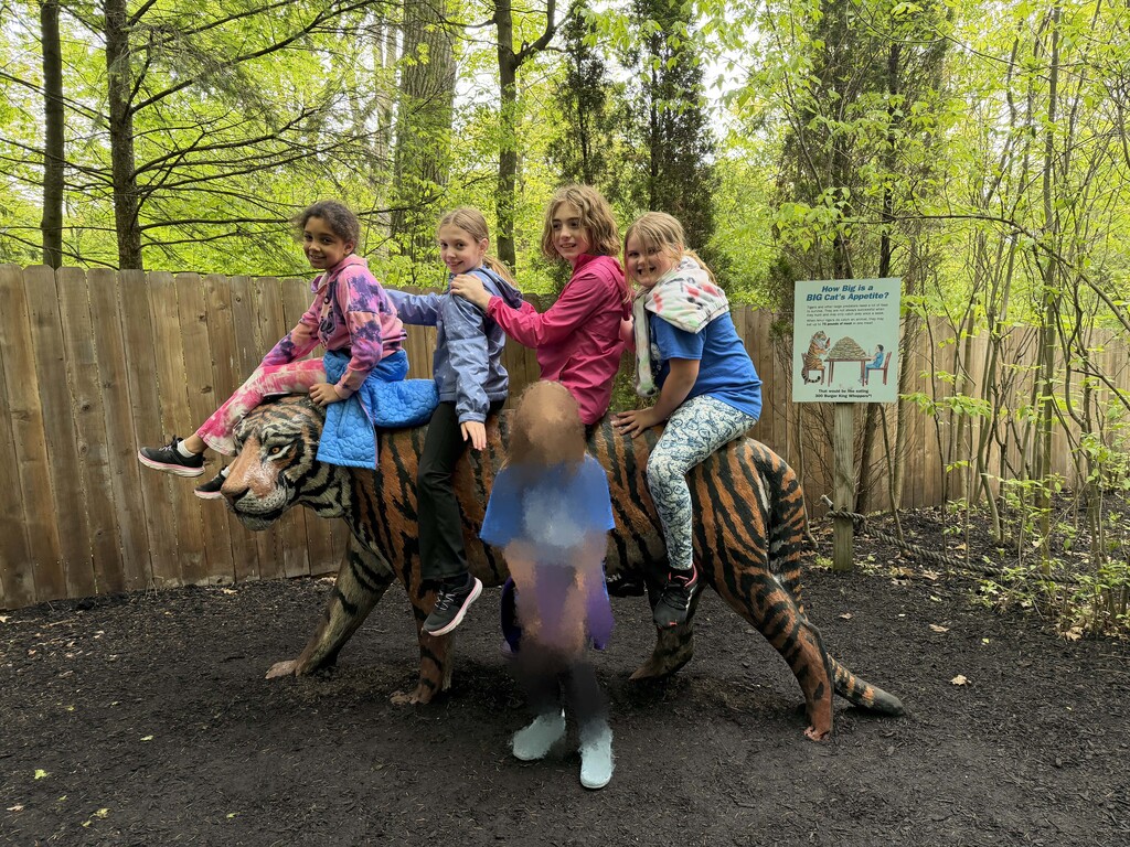 Students at the Tiger Exhibit at the Rosamond Gifford Zoo