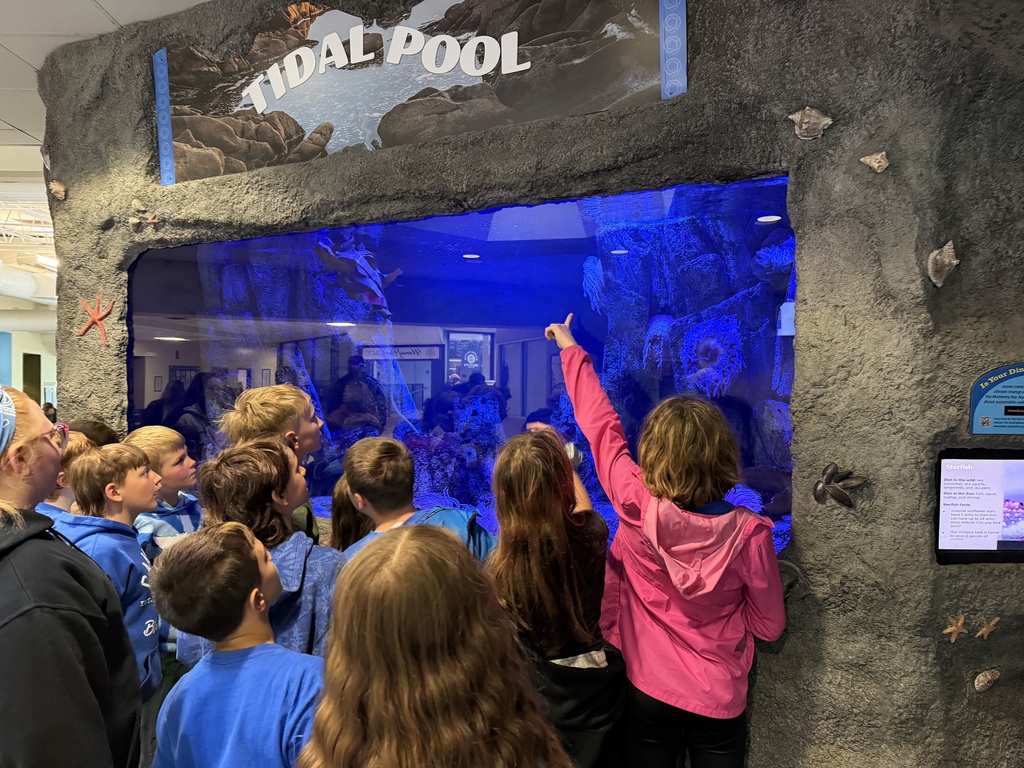 4th Graders Looking at the Tidal Pool at the Syracuse Zoo