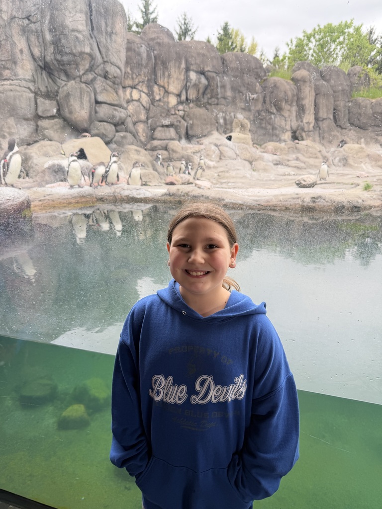 Student at the Rosamond Gifford Zoo's Penguin Exhibit