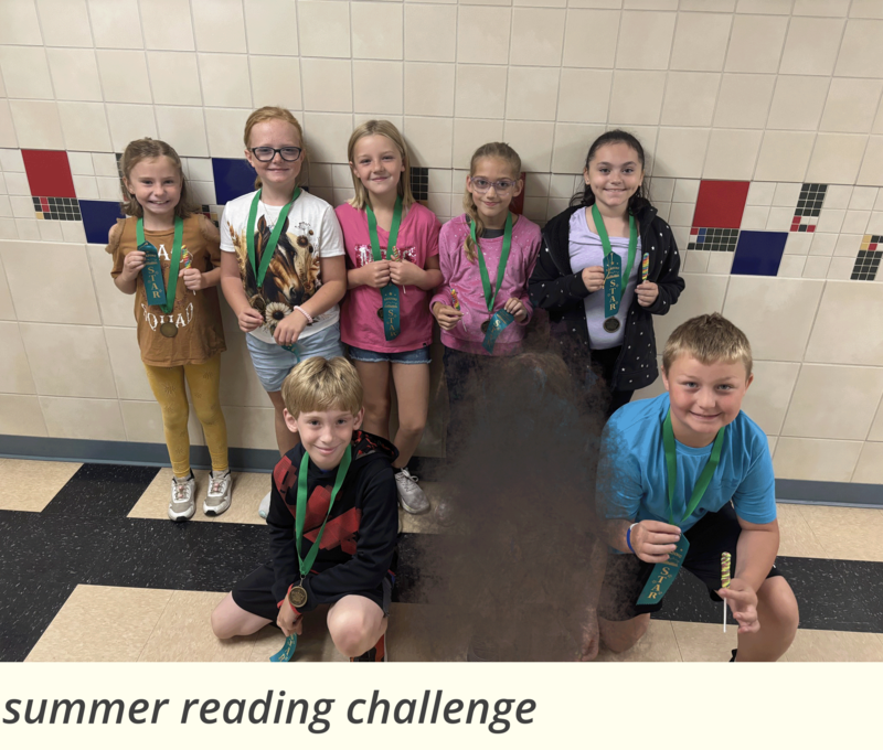 summer reading challenge