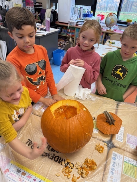 CES Second Grade Classes Pumpkin Activity