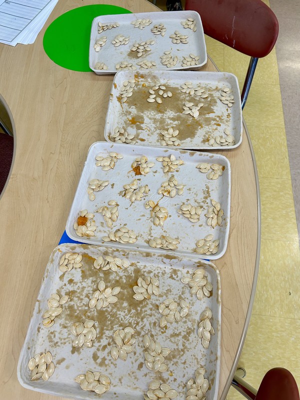 CES Second Grade Classes Pumpkin Activity