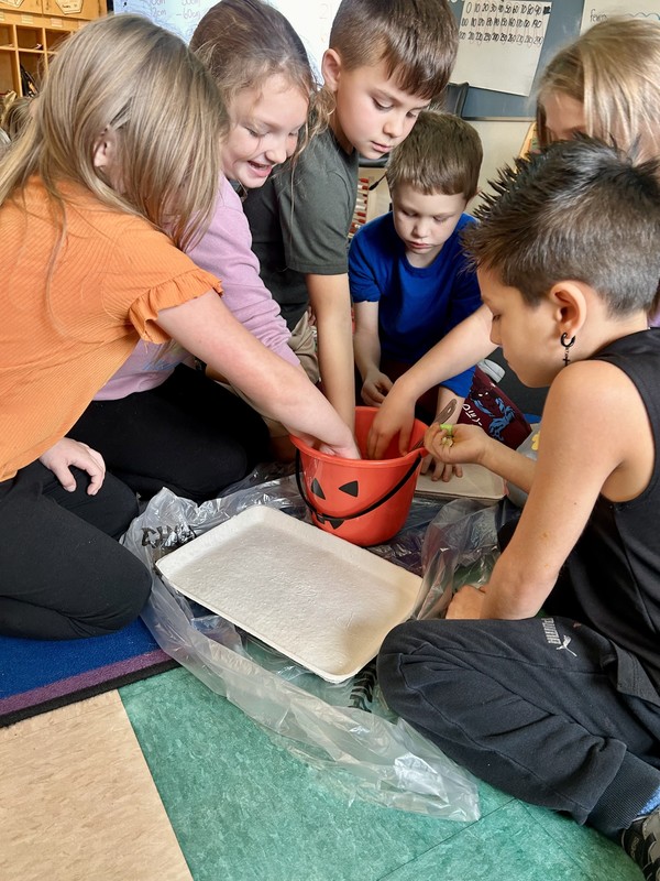 CES Second Grade Classes Pumpkin Activity