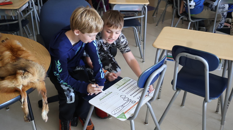 4th Grade Working With Adirondack Experience on Fur Trade Activity