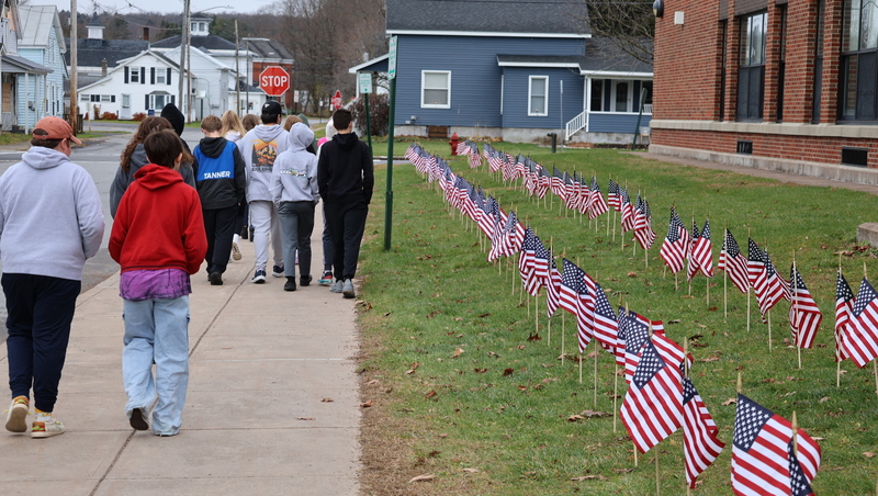 Field of Flags at CMS