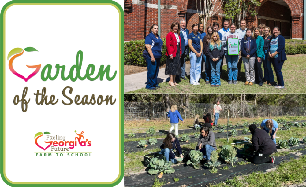 CCHS Wins Garden of the Season Award from Georgia School Nutrition Program
