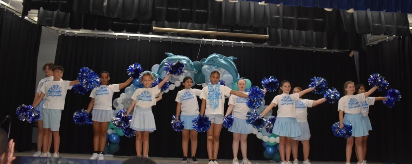 Cheering Dolphins