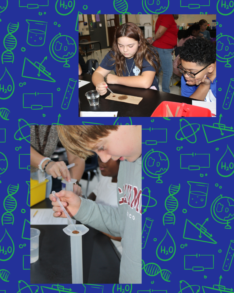 Penny Experiment Pictures
