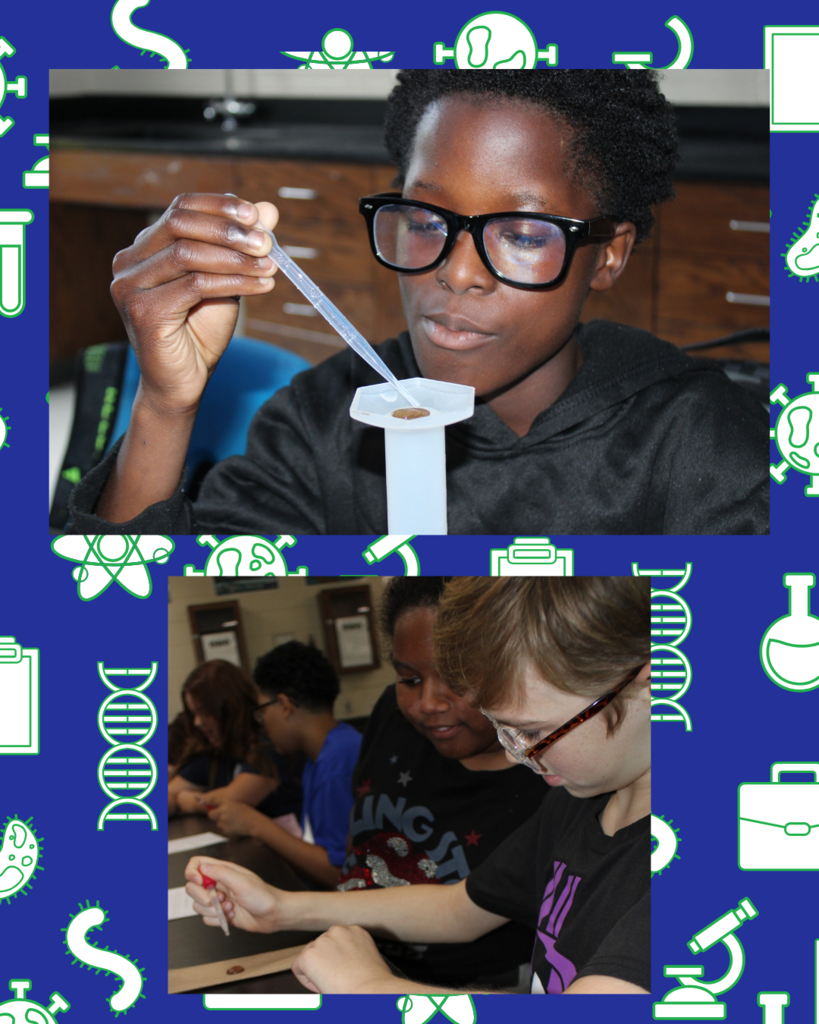 Penny Experiment Pictures