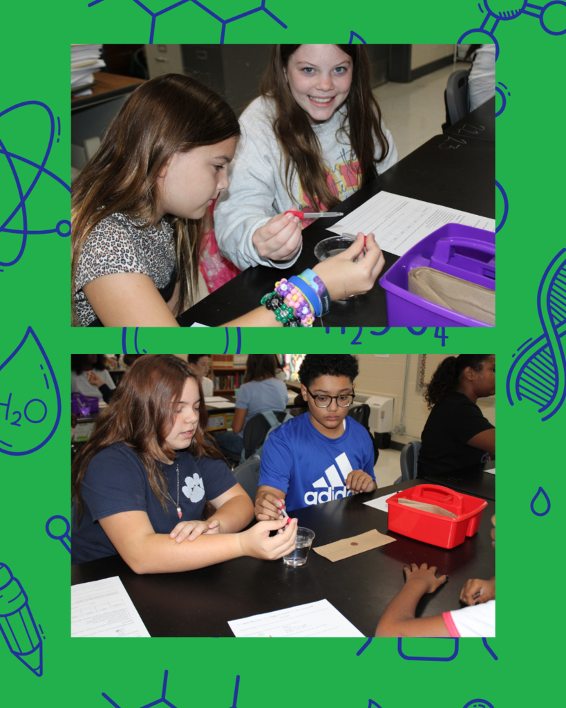 Penny Experiment Pictures