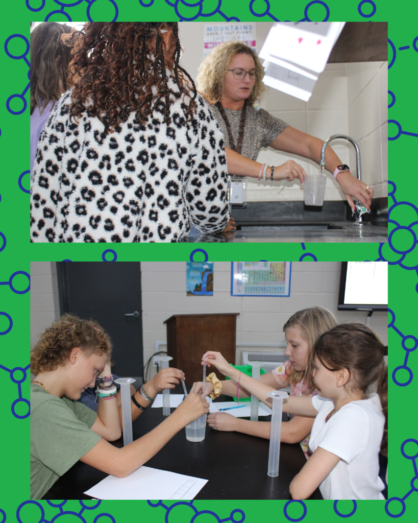 Penny Experiment Pictures