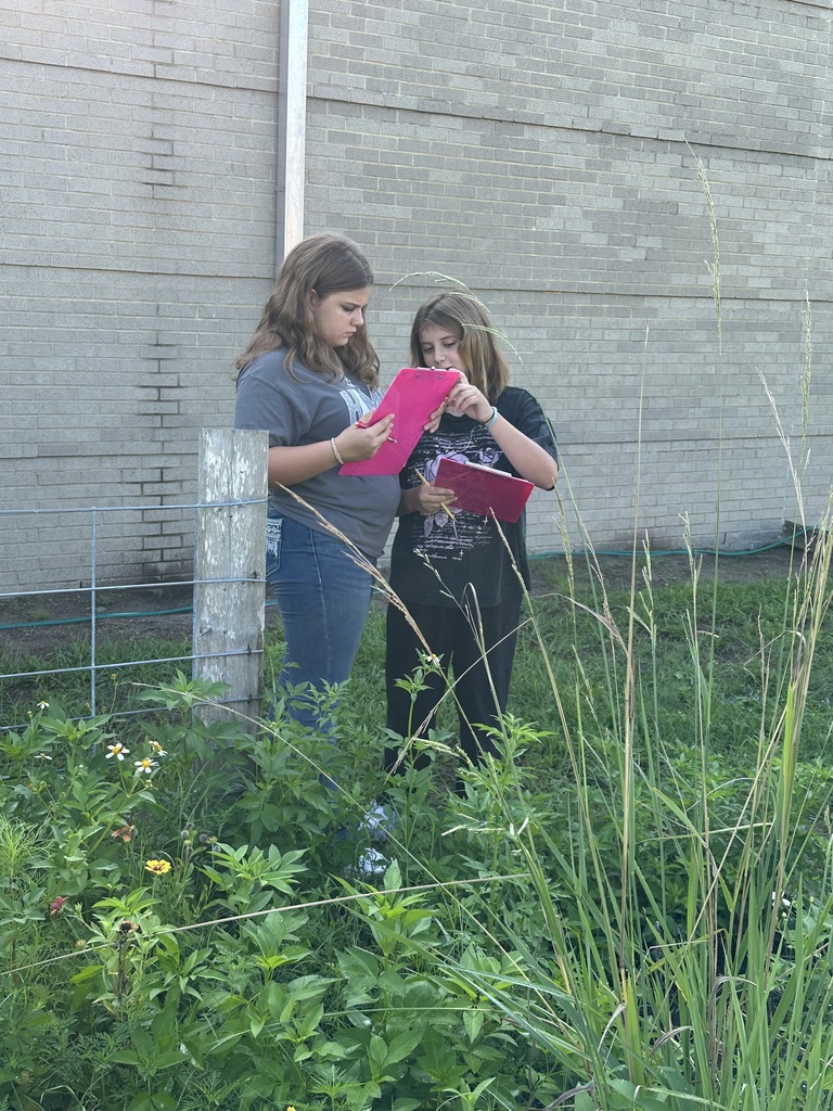 pollinator