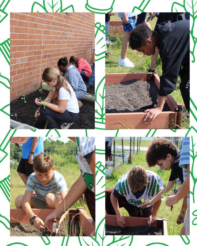 Kids Planting
