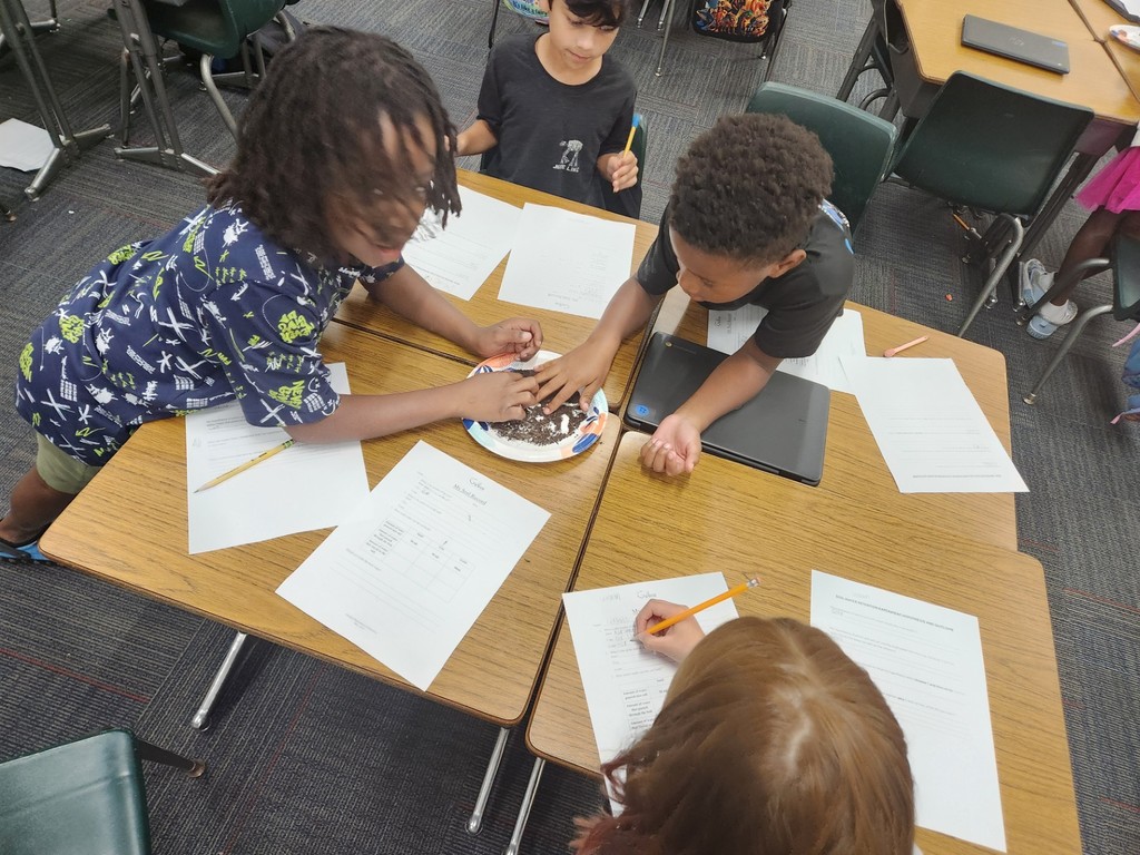 Mrs. Stack's 3rd graders