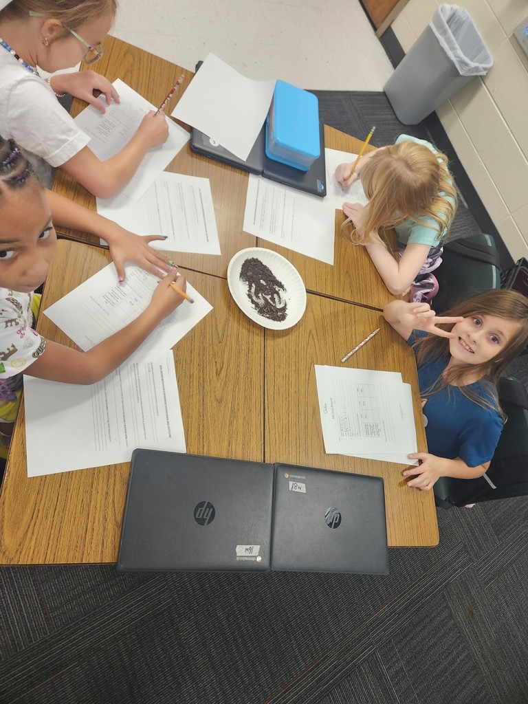Mrs. Stack's 3rd graders