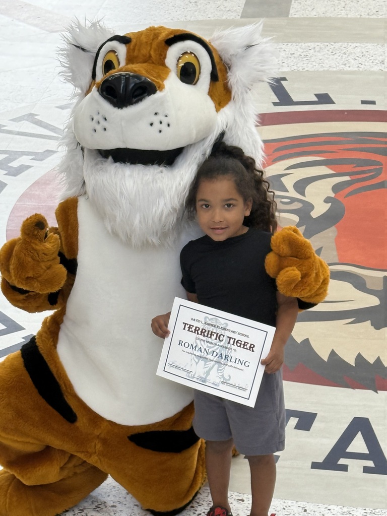 Tiger of the Month4