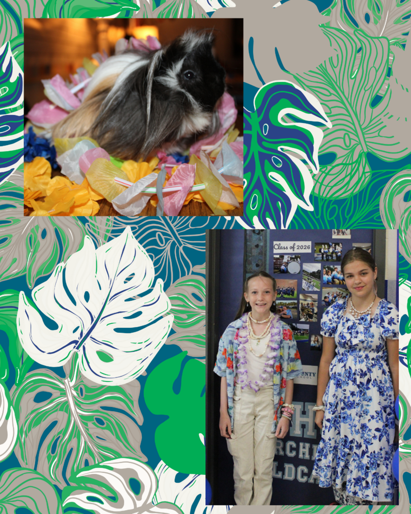 Hawaiian Day