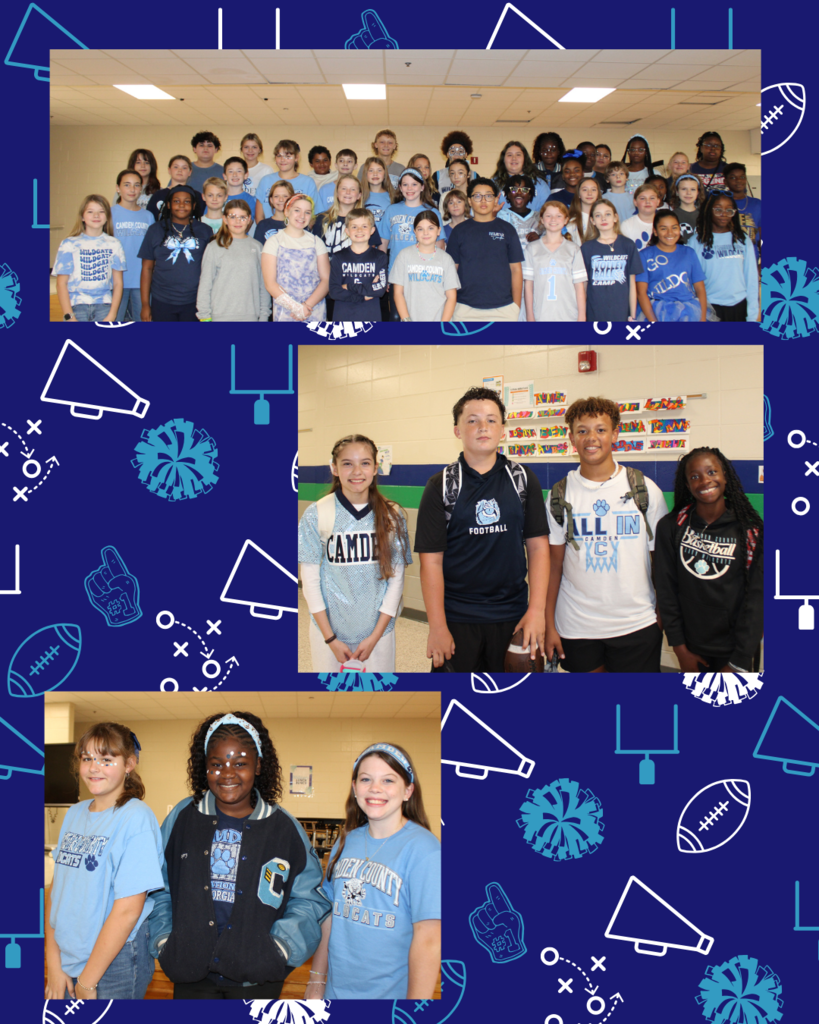 Wildcat spirit pics