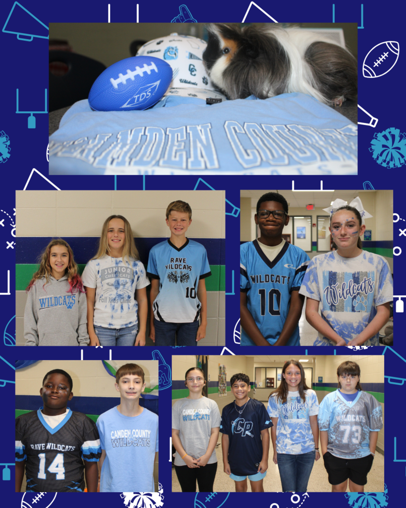 Wildcat spirit pics