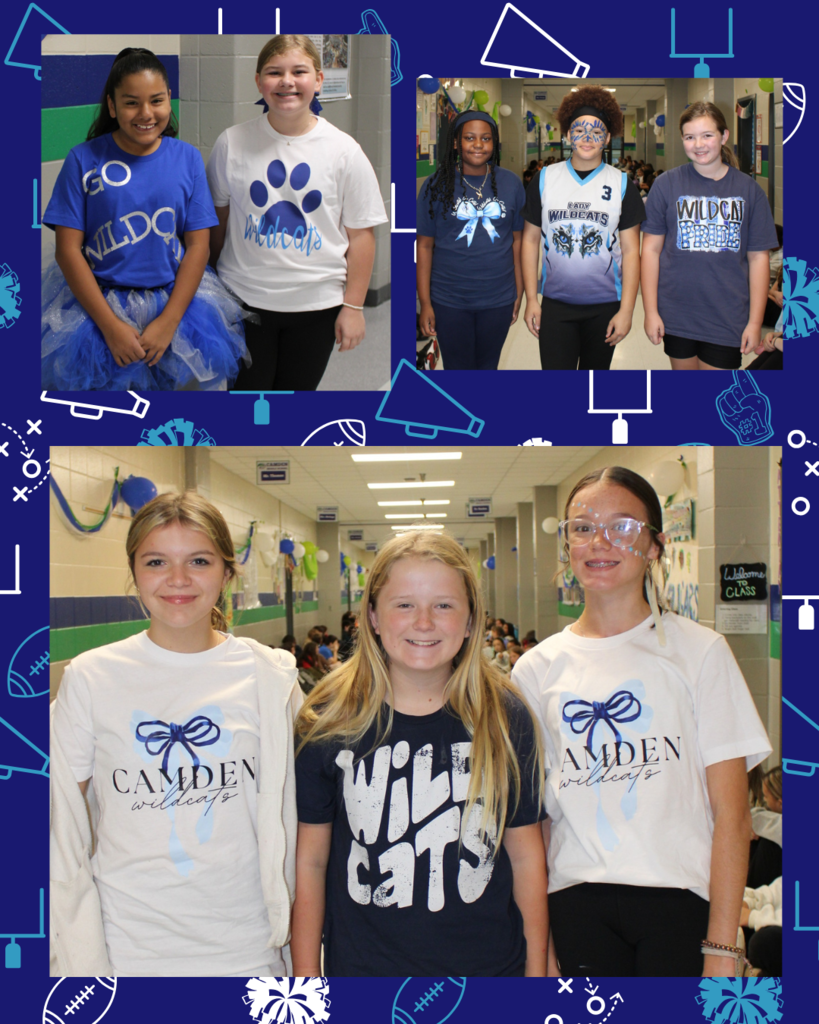 Wildcat spirit pics